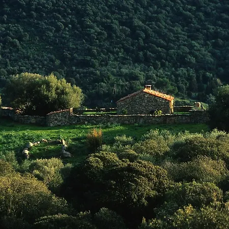 Domaine De Murtoli Sartene (Corsica)
