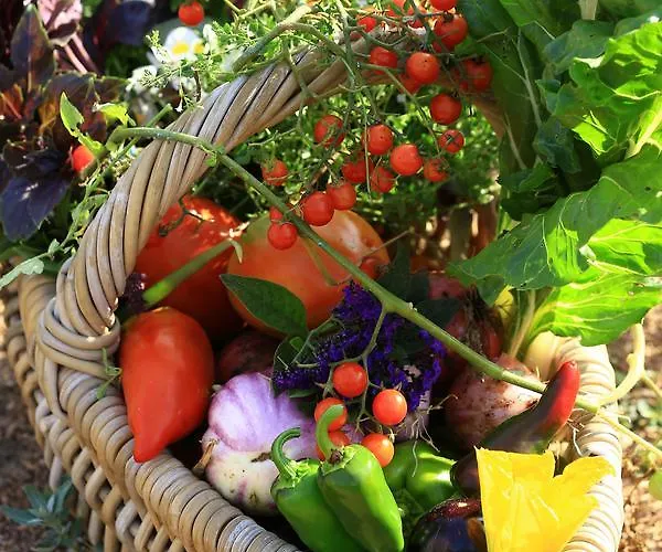 Domaine De Murtoli Otel