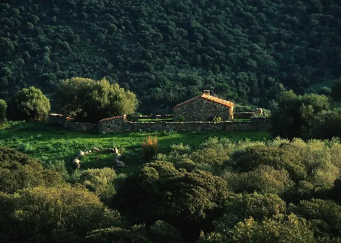 Domaine De Murtoli Sartene (Corsica)
